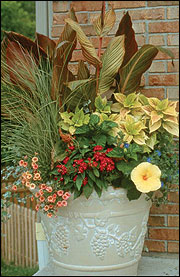 Flower pot with annual flowers