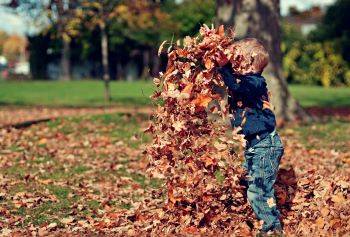 child throwing leaves in the air