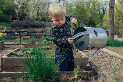 Boy watering flowers with a watering can