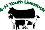 Youth Livestock 
