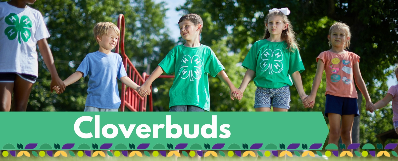 4-H Cloverbud graphic