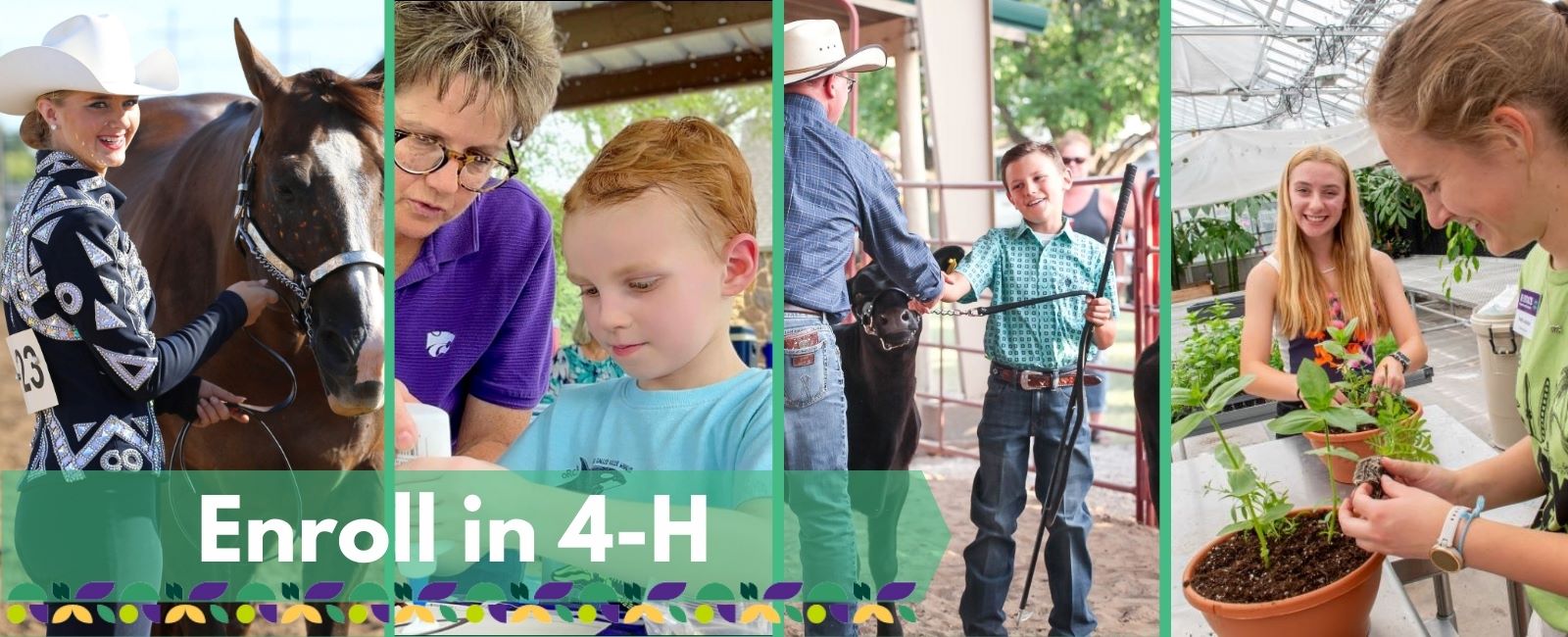 4-H enrollment graphic