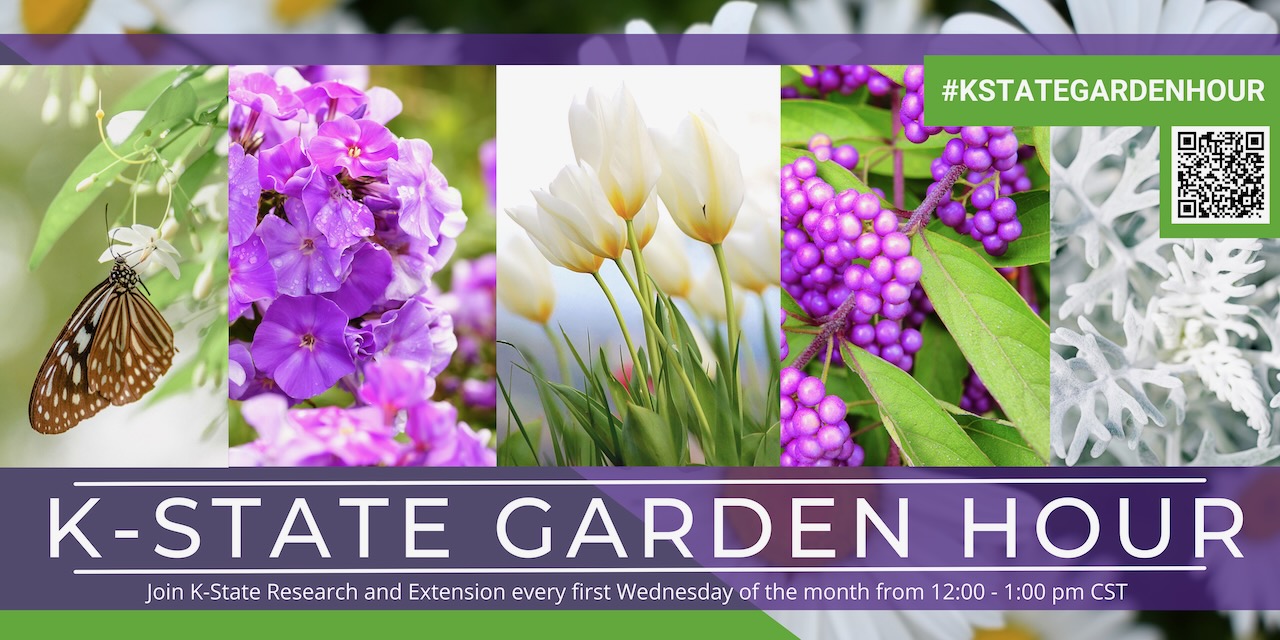 KSRE Garden Hour Add with purple flowers