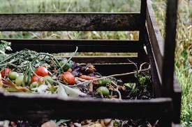 Compost Bin