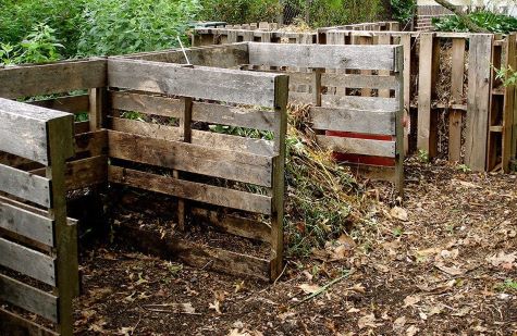 pallet compost bin