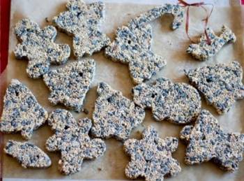 Birdfood cookies