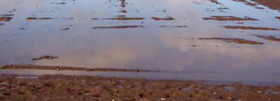 standing water