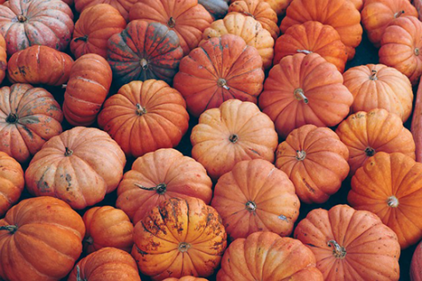 pumpkins
