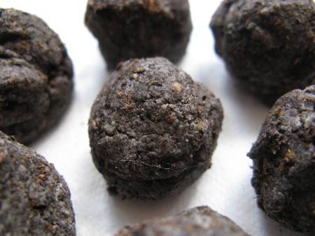 seed balls