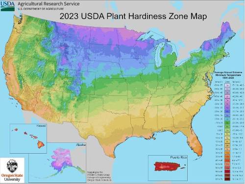 2023 USDA Plant Hardiness Zone Map