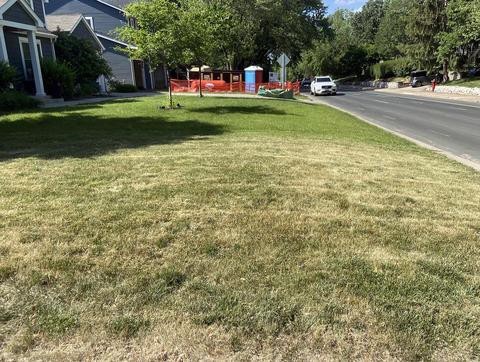 brown lawn due to lack of water