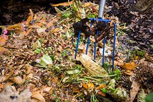 pitchfork in compost pile