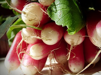 radishes