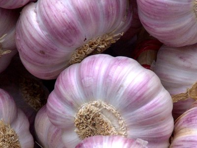 garlic bulbs