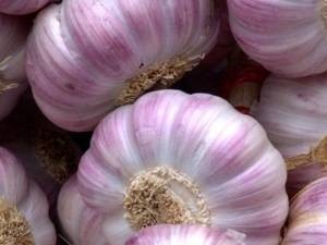 garlic bulbs