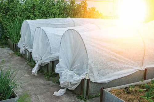 low tunnel with floating row cover