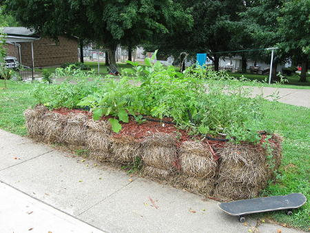 vegetables in strawbales