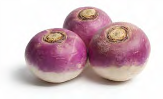 Turnip roots